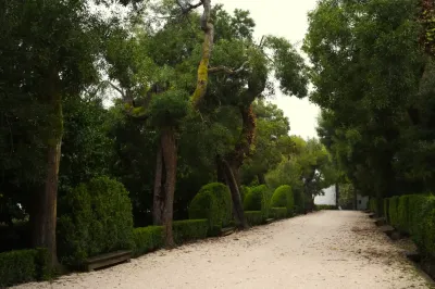 Polyporales, Exemp. B - Paço de Calheiros