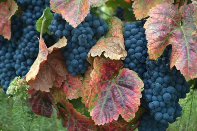 Vale do Douro