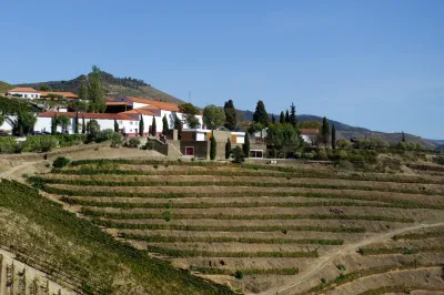 Vale do Douro - Quinta Nova