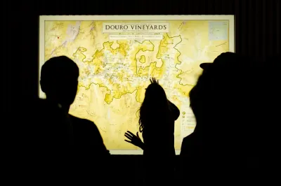 Vale do Douro - Quinta do Bomfim