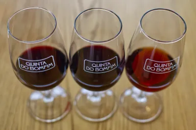 Vale do Douro - Quinta do Bomfim