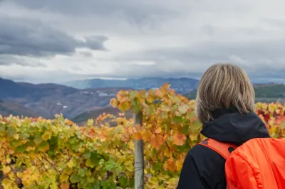 Vale do Douro