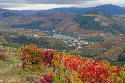 Vale do Douro