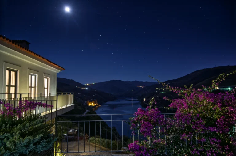 Quinta da Marka - Vale do Douro - Portugal